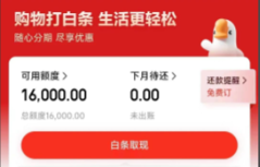 京东白条操作商家如何选？2026年最新10种操作步骤轻松套取白条