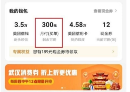 美团月付额度背后的风控秘密，2026年如何安全畅享便捷支付