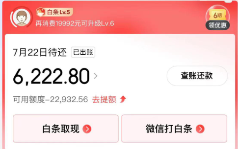 京东白条使用大揭秘：6种高效操作方式，你不可不知！