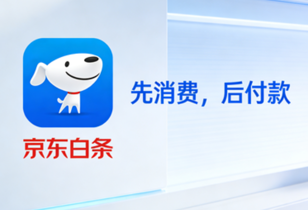 京东白条怎么使用？最新详细攻略与注意事项，新手也能轻松玩转
